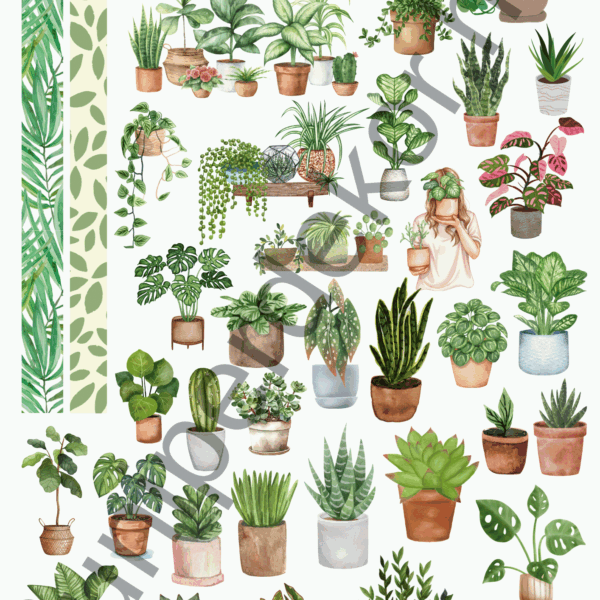 Plant lady matricaív A4