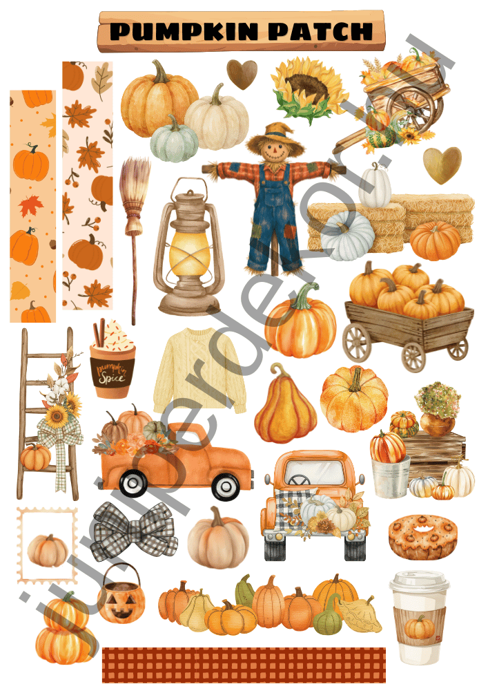 Pumpkin patch matricaív A4