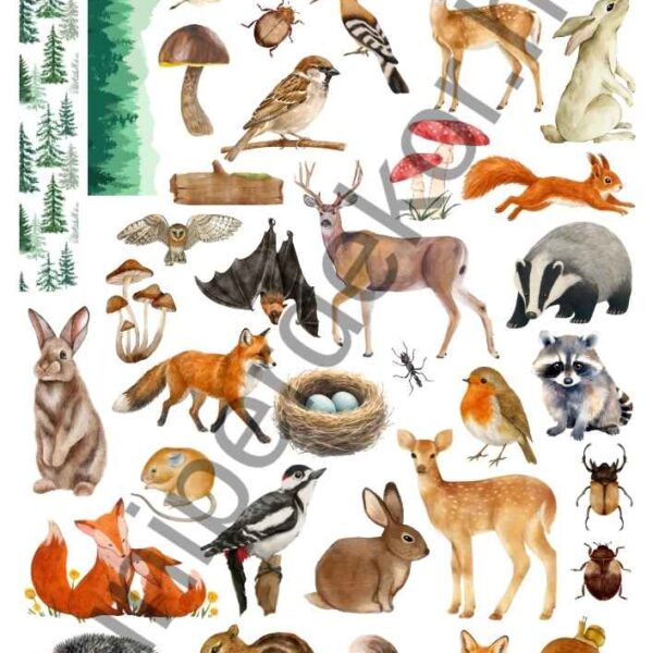 Forest animals matricaív A4