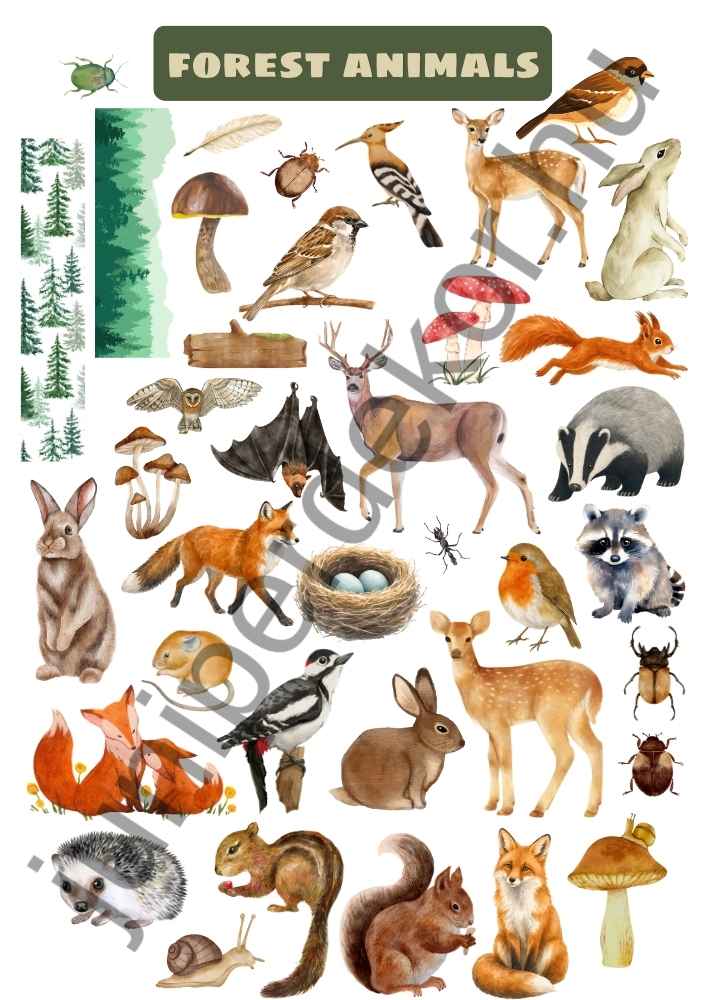 Forest animals matricaív A4